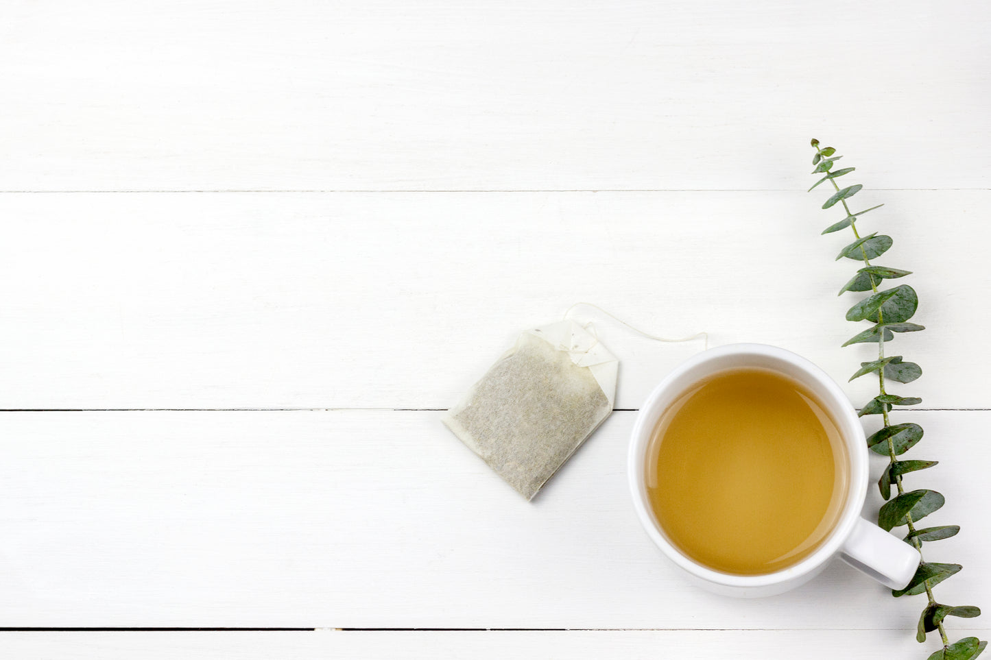 Morning tea cup with Eucalyptus Silver Dollar plant leaves on white background