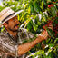 Farmer picking Honduran Café Oro coffee beans