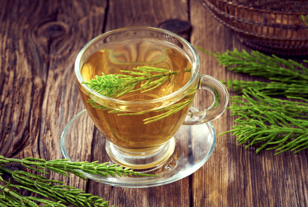 Glass cup of horsetail tea with fresh equisetum plant