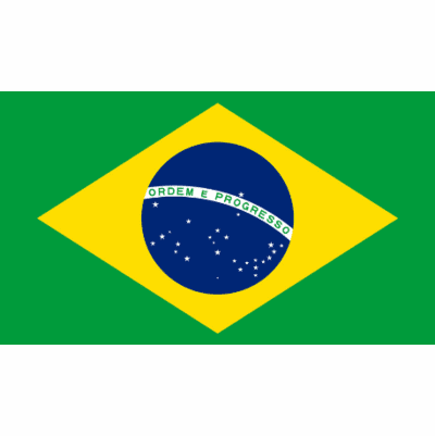 Brazilian Flag