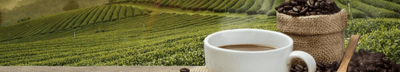 Beverages Bebidas 207