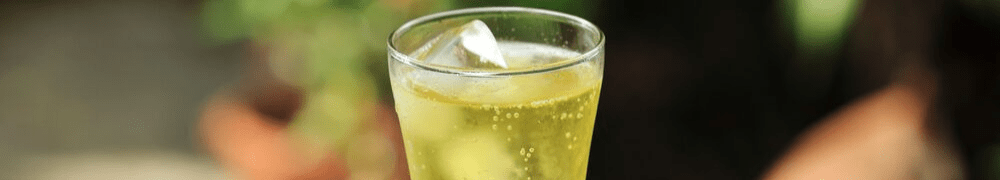 Buy Guarana Brazilia Soda Online