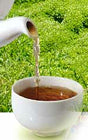 Manasul Tea