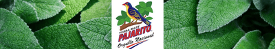 Pajarito Yerba Mate 16