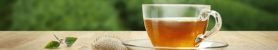 Buy Brazilian Teas and Cha Online
