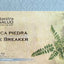 Nuestra Salud Chanca Piedra - Stone Breaker 