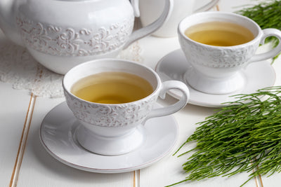 Two cups of horsetail tea with fresh Equisetum arvense plant on a white wooden table